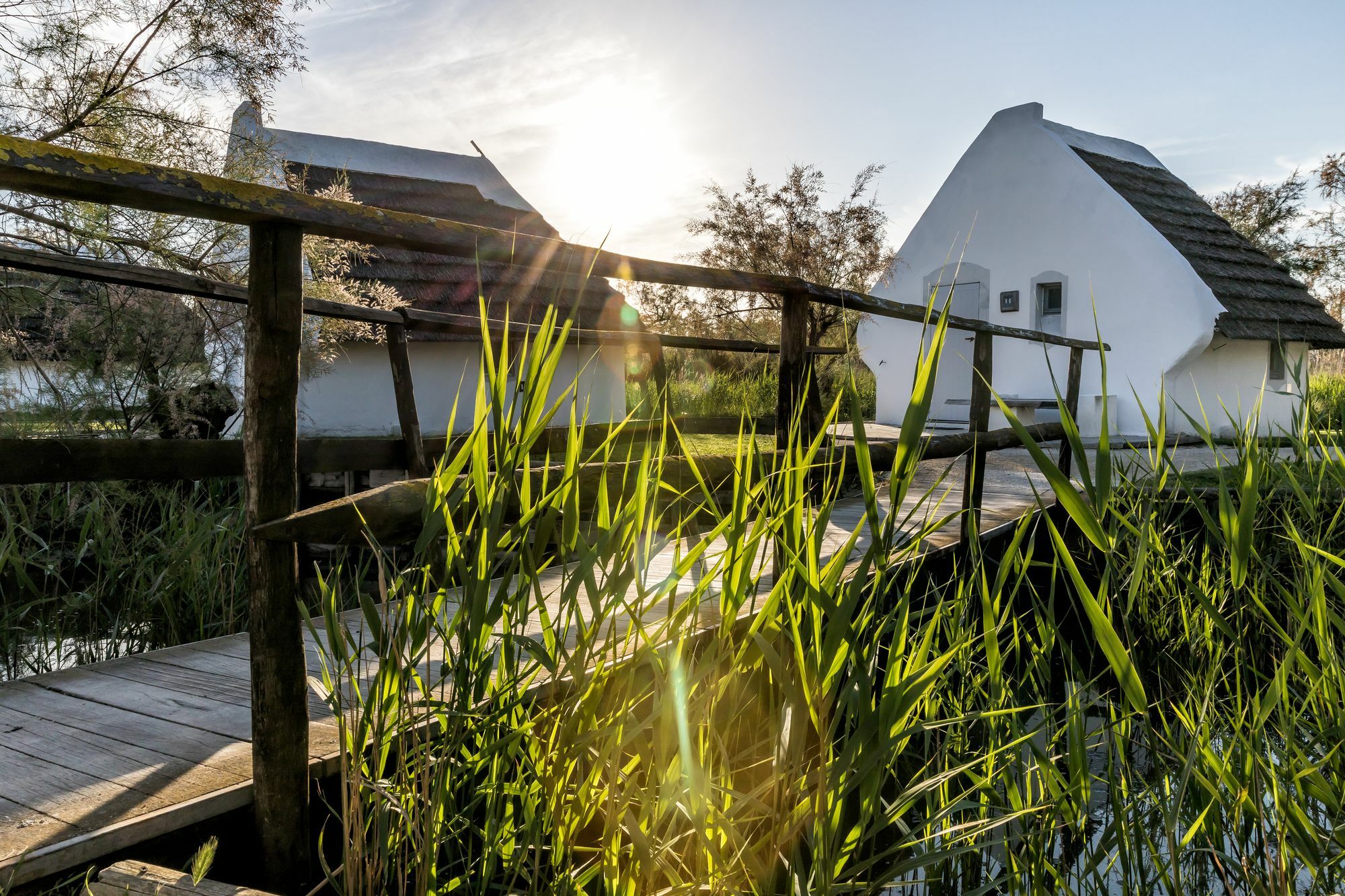 Les Bains Gardians Hotell Saintes-Maries-de-la-Mer Eksteriør bilde